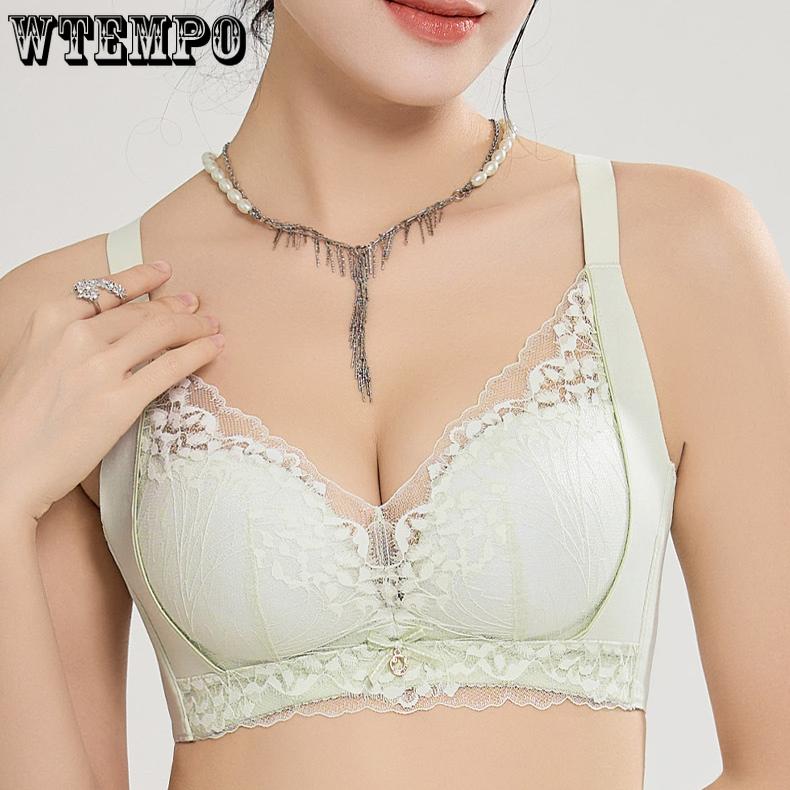 French Lace Bra Women's Gathering Bra Breast Collection Anti Sagging No Steel Ring Adjustable Thin Bra