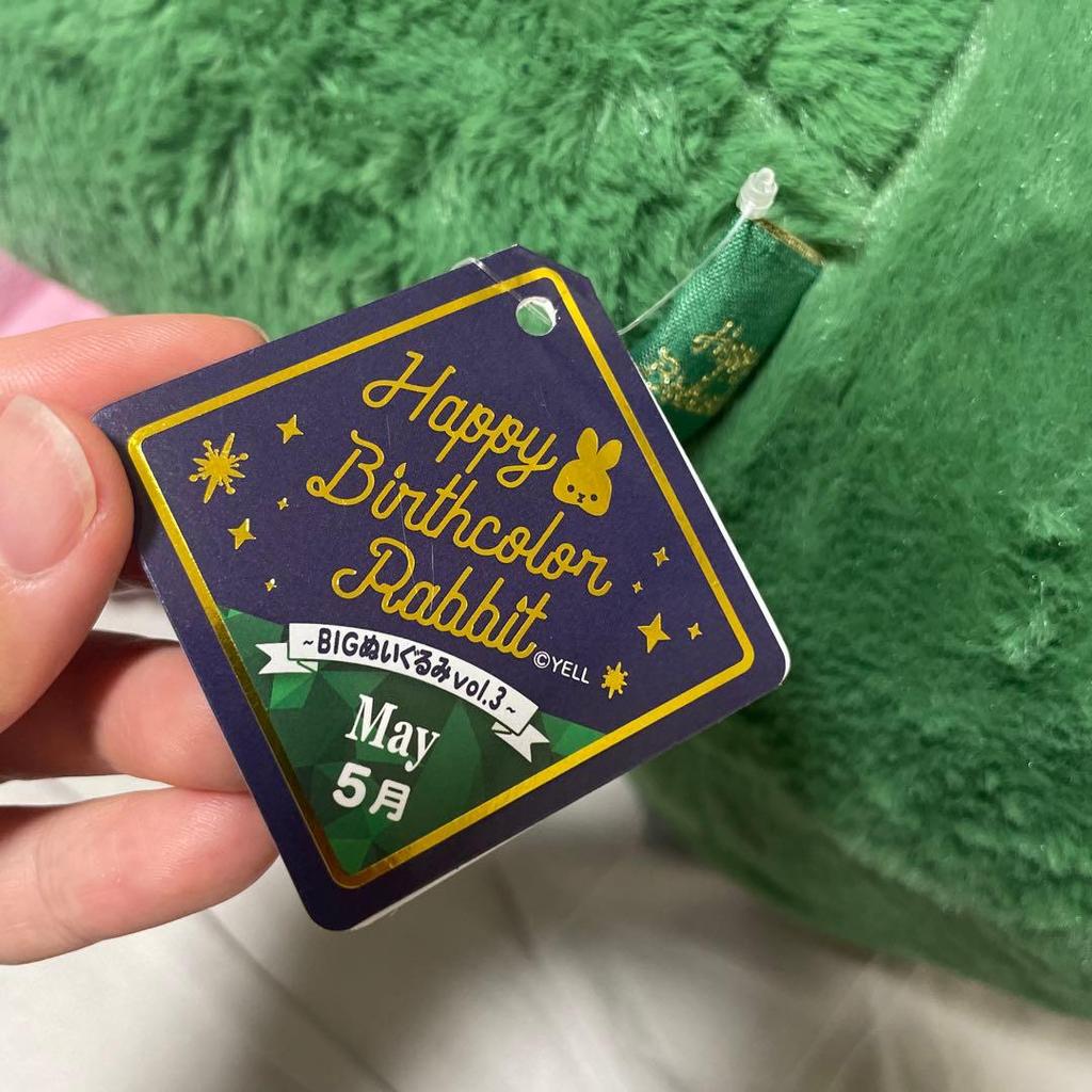 [USED] Cute Teddy Bear Bunny Plush Toy In Pastel Green. May Cheer.