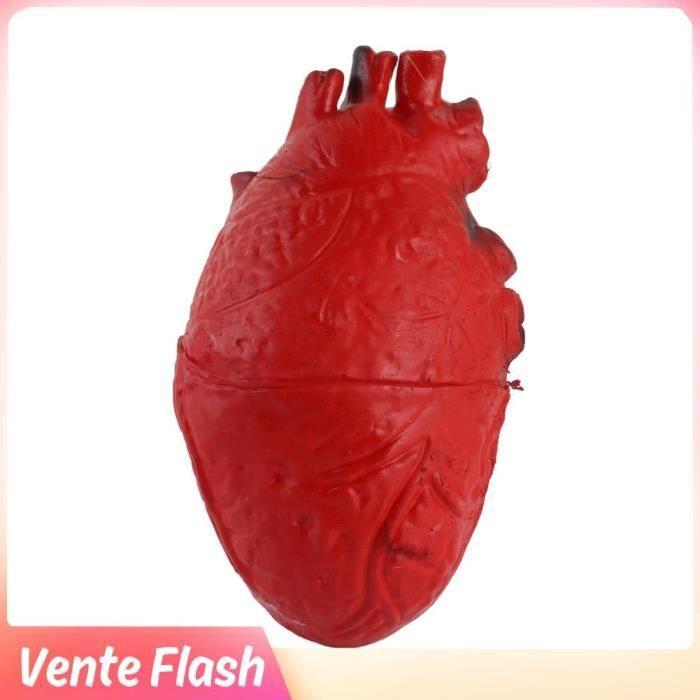 Dioche Human Heart Fake Latex Real Size Prop Halloween Scary