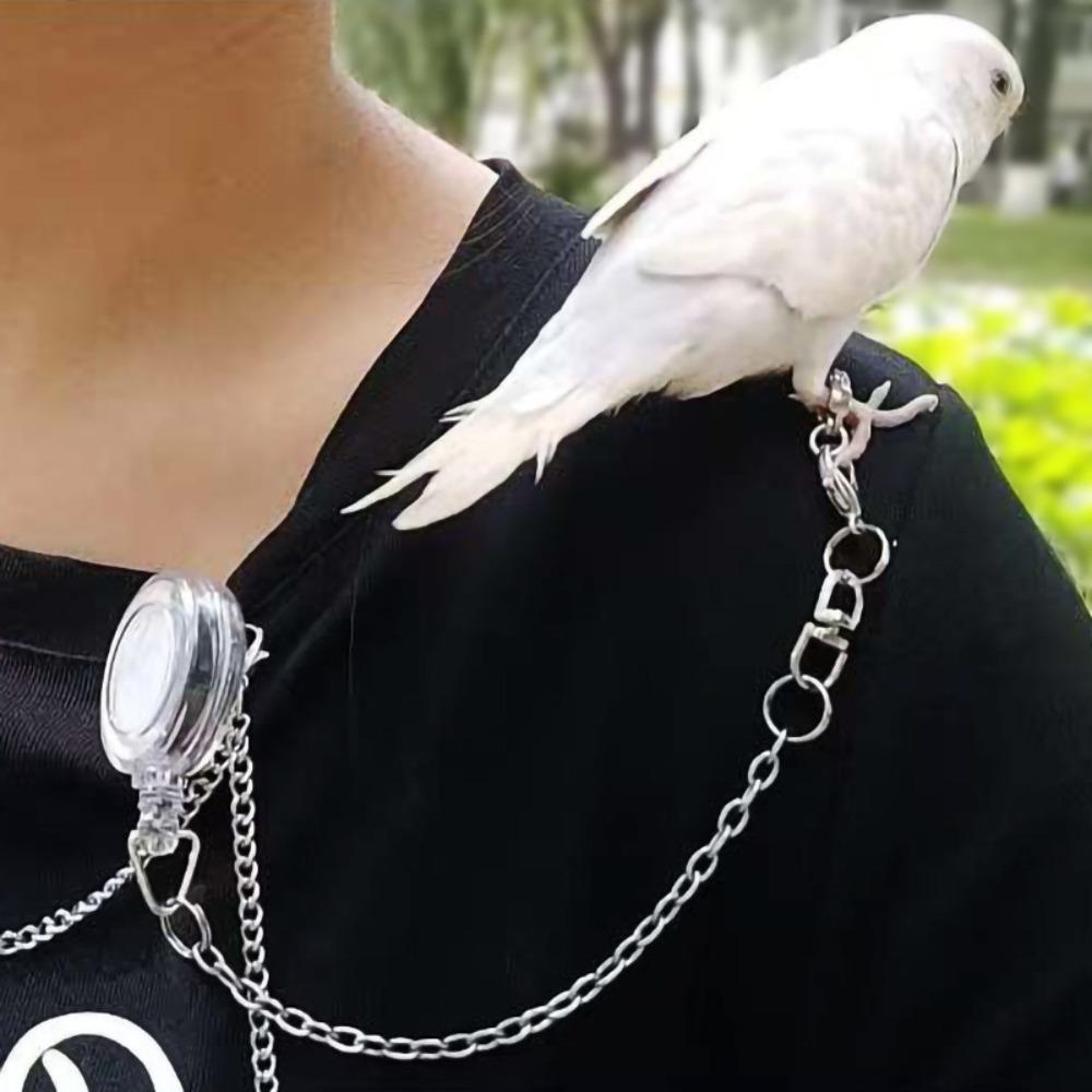 Bite Resistant Anti-flying Training Leash Lightweight Bird Foot Chain Pet Bird Harness  Walking