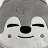 [USED] Stray Kids Wolf Chan Bang Chan Fan Case Fan Cover
