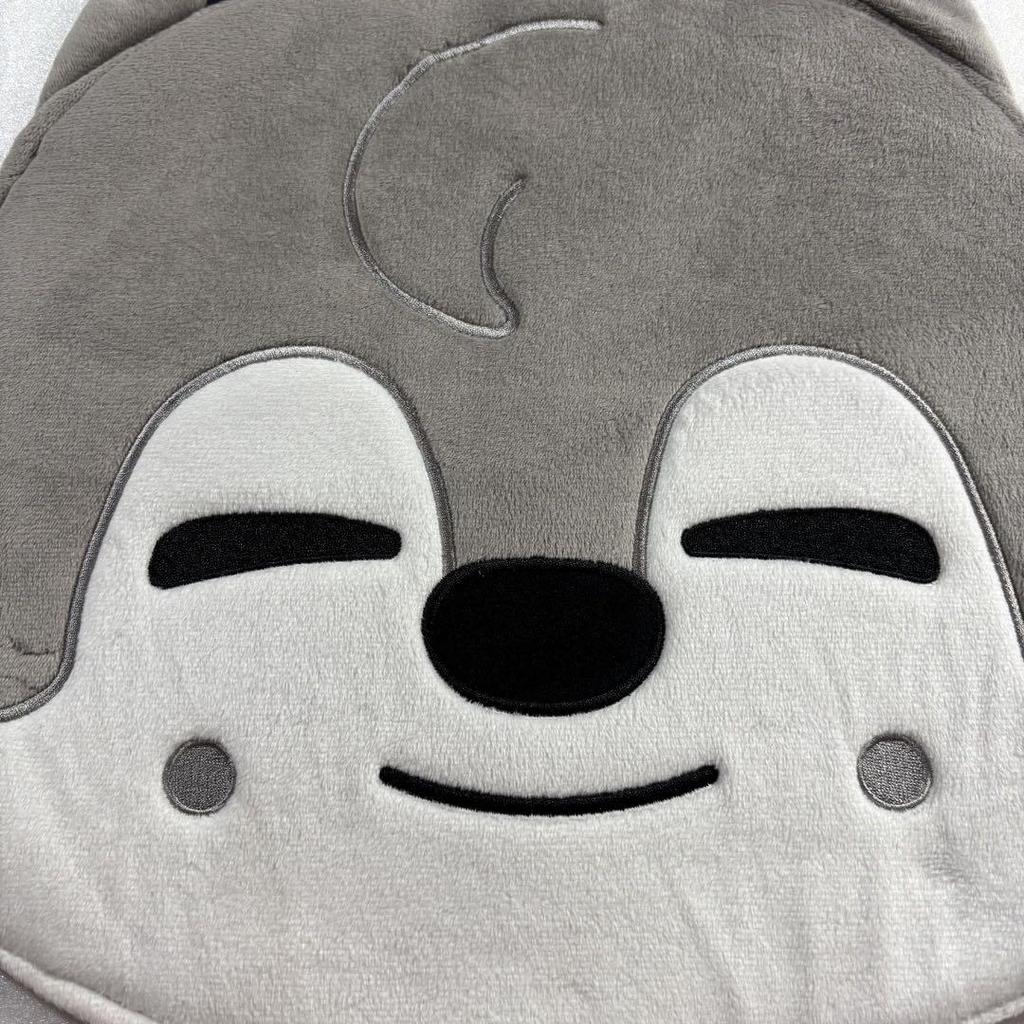 [USED] Stray Kids Wolf Chan Bang Chan Fan Case Fan Cover