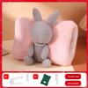 Rechargeable Hot Water Bag Washable Explosion-Proof Heating Pad Girls' Belly Warming Hand Warmer Plush Cute Cartoon Electric Heater