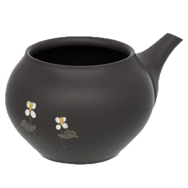 

Tokoname Ware Teapot 4-566, Shomoe, No. 16, Black Clay Houttuynia Cordata Sake Cup, 260ml, Made in Japan, Boxed, T2103