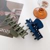 Chic Macaron Color Medium Hair Claw Clip Stylish Minimalist Hair Accessory For Women