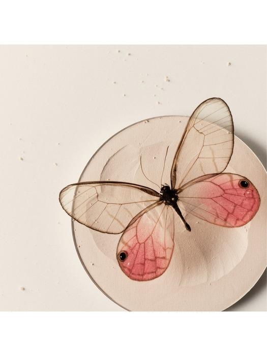 CHANTECAILLE [Chantecaille] Compact Makeup