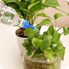 Sady na zalévání Good Watering, sprchová hlavice, nástavec na zahradní čepici, zahradní potřeby, plechovky na vodu, zalévání, zavlažování rostlin