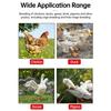 Electric Heated Waterer Efficient Heating Solution Water Dispenser for Poultry Backyard Farm Winter Use Watering Supply