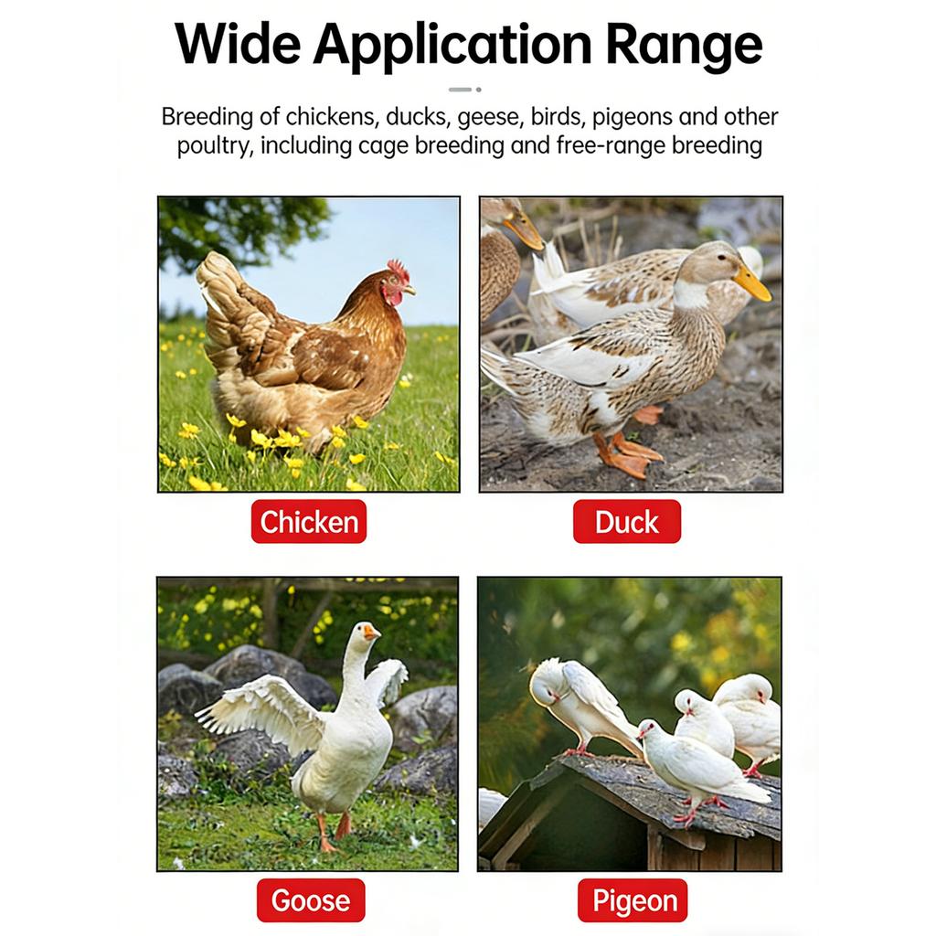 Electric Heated Waterer Efficient Heating Solution Water Dispenser for Poultry Backyard Farm Winter Use Watering Supply