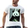 Eating Panda Tshirt T Shirt Custom Print Unisex T Shirt Cotton Unisex T Shirts Graphic Tshirt