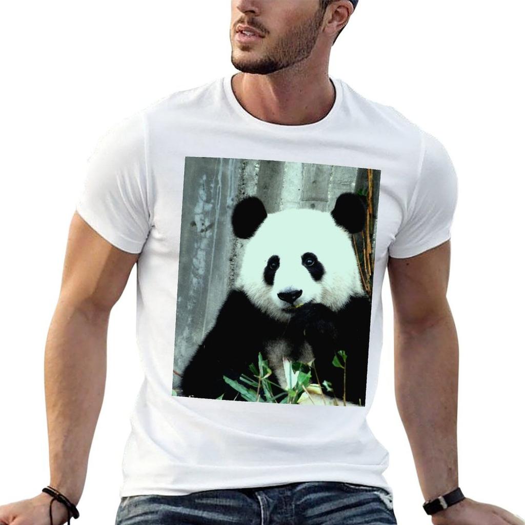 Eating Panda Tshirt T Shirt Custom Print Unisex T Shirt Cotton Unisex T Shirts Graphic Tshirt