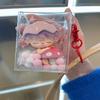 Jewelry Organizer Transparent Storage Box Pouch Mystery Box Keychain Bag Storage Case Thicken Wallet Cute Doll Bag Organization