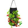 Felt Pins Strawberry Pouch 11 Pores Strawberry Potato Hanging Plant Pots Felt Bag