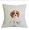 Cavalier King Charles Spaniel 45X45Cm Pillowcase Bedroom Sofa Home Decor