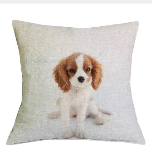 Cavalier King Charles Spaniel 45X45Cm Pillowcase Bedroom Sofa Home Decor