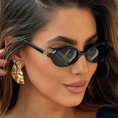 Lunettes de soleil ovales léopard sexy pour femmes, jolies, style Ins, sans maquillage, monture unie, lunettes pour hommes, décoratives mignonnes