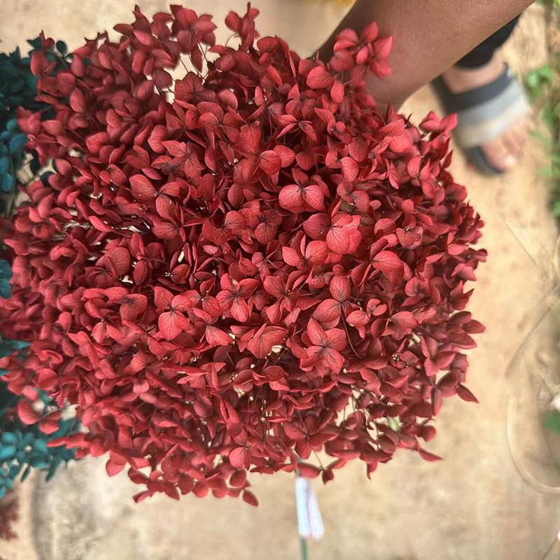 Букет бессмертных цветов гортензии Анна, цветопоглощающая одиночная ветка гортензии, украшение для дома, цветочные мягкие сухоцветы красный