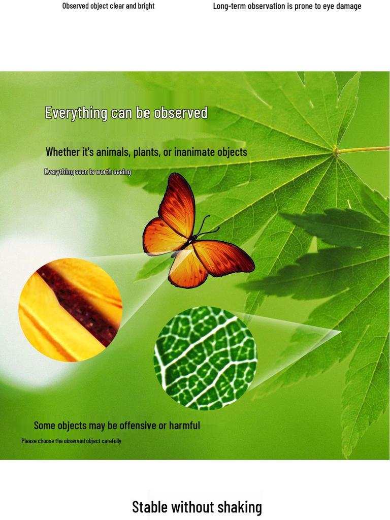 High-Definition Children's Microscope Set for Early Science Education and Specimen Exploration