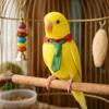 Striped Parrot Necktie Adjustable Pet Bird Tie Pet Flight Suit Parrot Collar  Dress-up Accessory