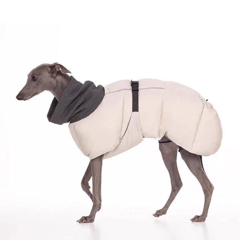 Moda Inverno Levriero Italiano Abbigliamento Cane Collo Alto Whippet Cappotto Cane Caldo Regolabile Terrier Senza Aria Belington Giacca Cane
