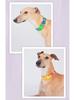 Waterproof Dog Collar with Leash for Small, Medium, and Large Dogs - Ideal for French Bulldogs