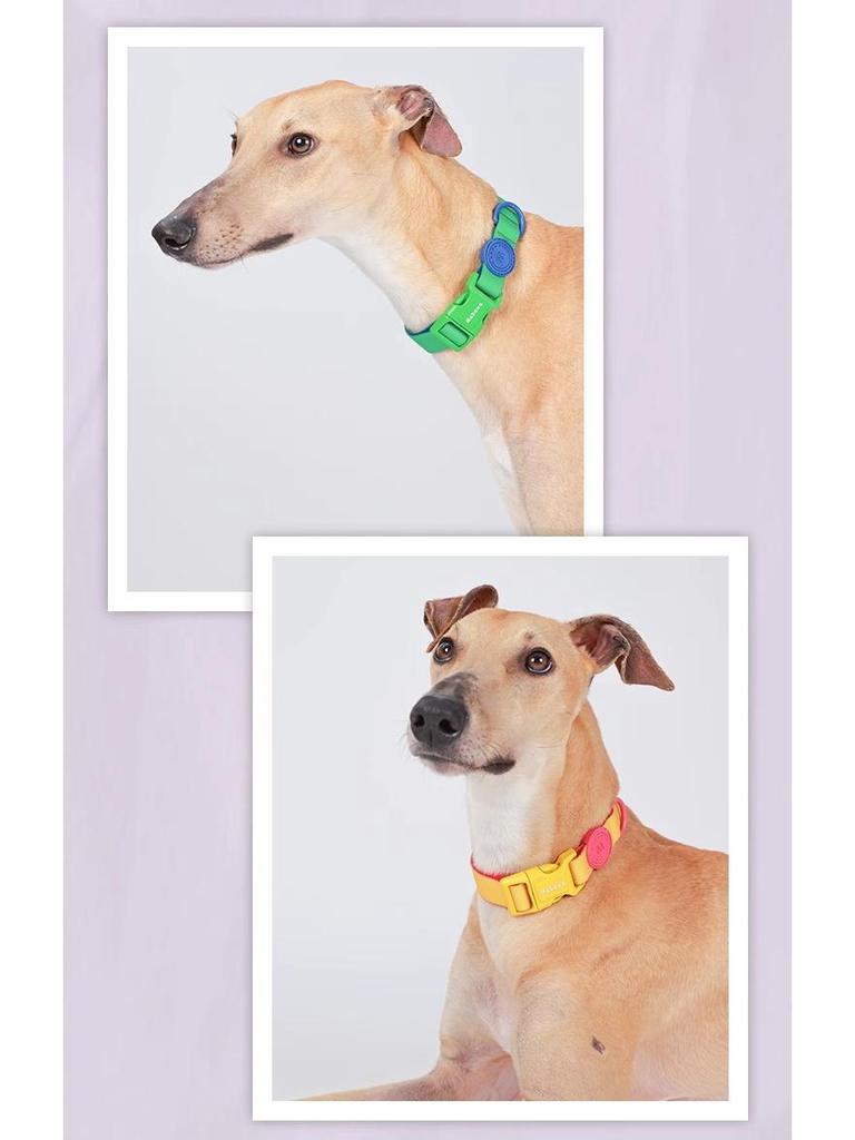 Waterproof Dog Collar with Leash for Small, Medium, and Large Dogs - Ideal for French Bulldogs