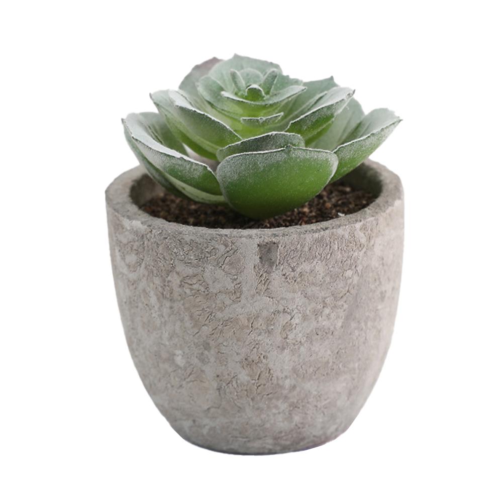 Desktop Ornament Indoor Greenery Desktop Arrangement Stylish Home D cor Versatile Design High Quality Materials