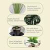 23 Leaves Artificial Ficus Tree Green Plastic Large Artificial Ficus  Office Decor