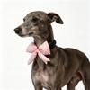 30/50pcs Fashion Pet Products Bowties Plaid Style Removable Pet Collar Accessories Dog Bows Pet Supplies Dog Bowties