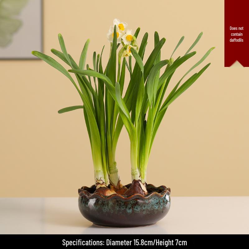 Großer Keramik-Lotus Seerose Hydroponischer Blumentopf ohne Abfluss