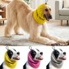 Giyim ve ayakkabı – Köpek Aksesuarları