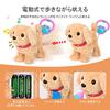 JoyGrow Pretend Play Set, Walk with Your Dog, Moving Plush Toy with Sound, Robot Dog, Pet Care Kit, Doctor Play Toy, Feeding, Educational Toy, Develop