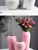 Nordic Ceramic Hydroponic Vase for Home Decor - Living Room Flower Arrangement and Dining Table Ornament
