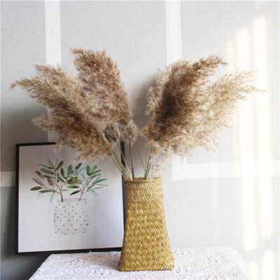 1 Bouquet Wide Application 50cm Height Beautiful Lightweight Flower Arrangements Dry Flower Whisk Reed Dry Flower