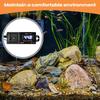 Thermostaat Voor Reptielenbak LED Display Digitaal Huisdieren Benodigdheden Met Zuignap Thermostaat Stekker Stopcontact Voor Planten Terrarium Slang