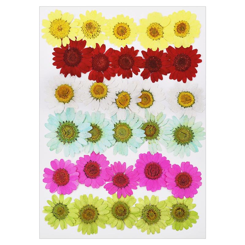 

30 шт./упаковка сушеных цветов, сухие растения для заливки в формы из эпоксидной смолы, для самостоятельного украшения ногтей, прессованные цветы