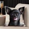 1pc Happy Smiling Chihuahua Pillowcase, Soft and Comfortable Polyester Short Plush Fabric, Single-sided Print, Does Not Include Pillow Insert, 44.96*4