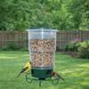 Large Capacity Hanging Bird Feeder Telescopic Bird Water Dispenser  Outside Patio