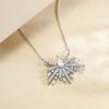 Jewelry S925 sterling silver zircon necklace high-end sense European and American fashion collarbone chain women's big-name silver jewelry