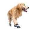 Roupa e sapatos – Sapatos para cães