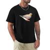 Zebra Finch Australian Bird Illustration TShirt Athletic Fit Sports Short Sleeve Top