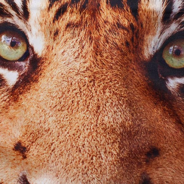 Hip Shop Herren Tier Tiger Unterwäsche, Größe LL