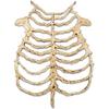 Skull Skeleton Hollow Out Decor Halloween Cosplay Party Stage Dress Up Accessory