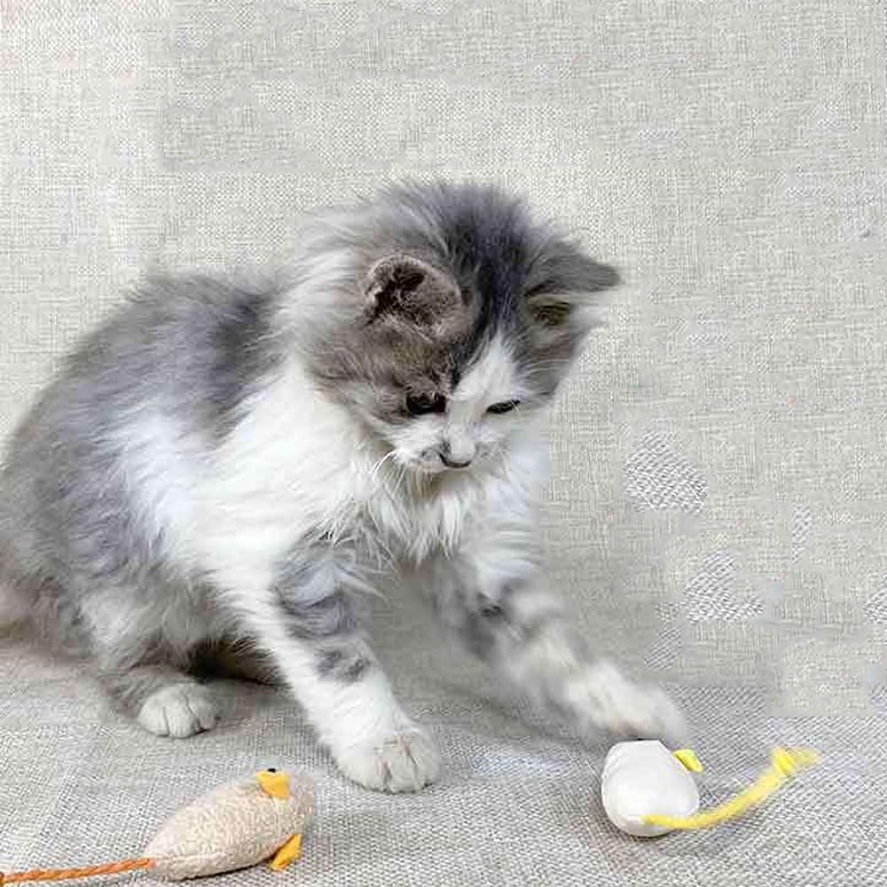 YBGGJO Cat Mouse Toys, Set of 6, Plush Pet Toys, Chew Toys, Cat Treats, Stress Relief, Exercise, Pet Supplies (A)