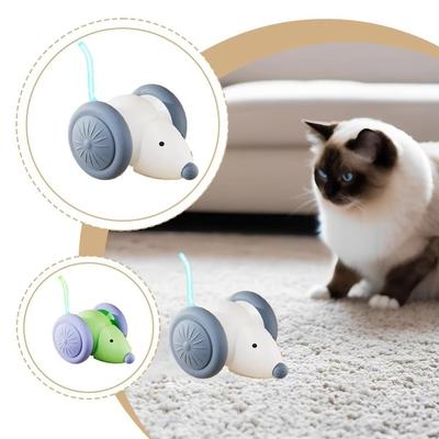 Kedi – Kedi Oyuncakları