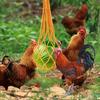 Chicken Feeder Poultry Bird Chicken Drinker Cup Poultry Hanging Feeding Net Bag Chicken String Bag Vegetable Fruits Feed