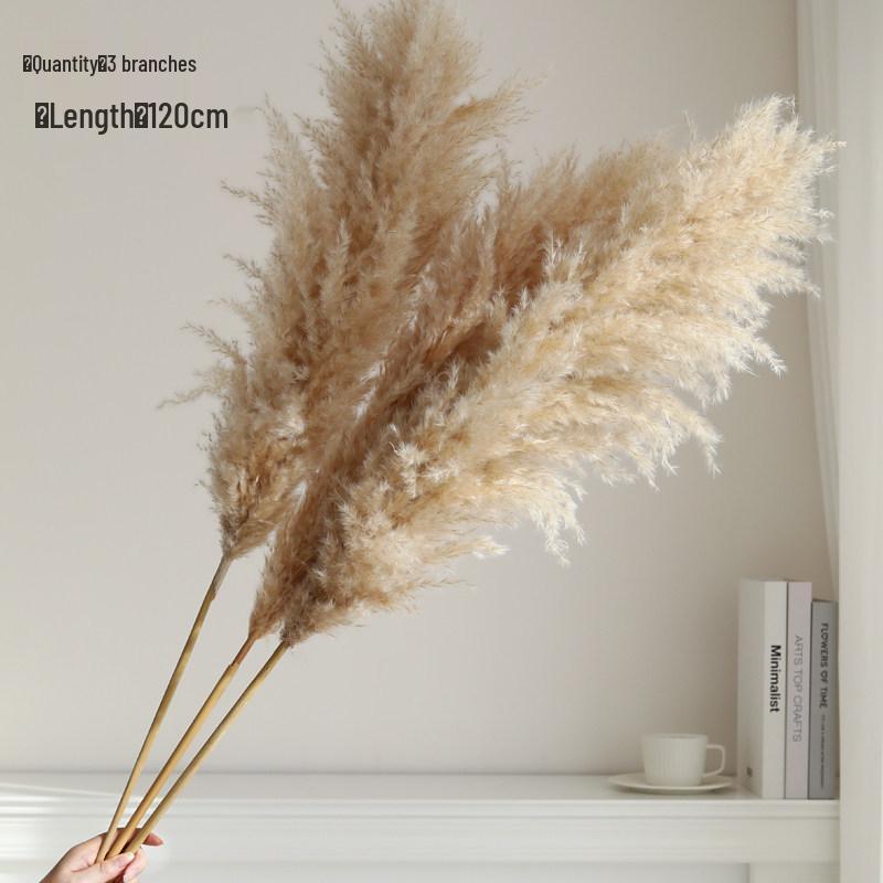 Natural Air-Dried Reed and Cattail Flower Bouquet for Floor Vase Decoration
