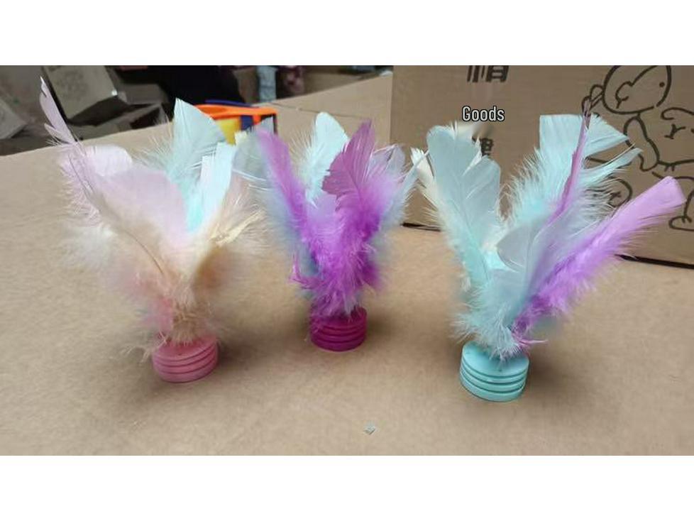 Jianzi Coloré à Plumes pour Étudiants - Grand, Plume d'Oie