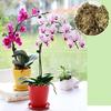 12L / 6L Sphagnum-Moos, feuchtigkeitsspendender organischer Dünger für Orchideen-Phalaenopsis