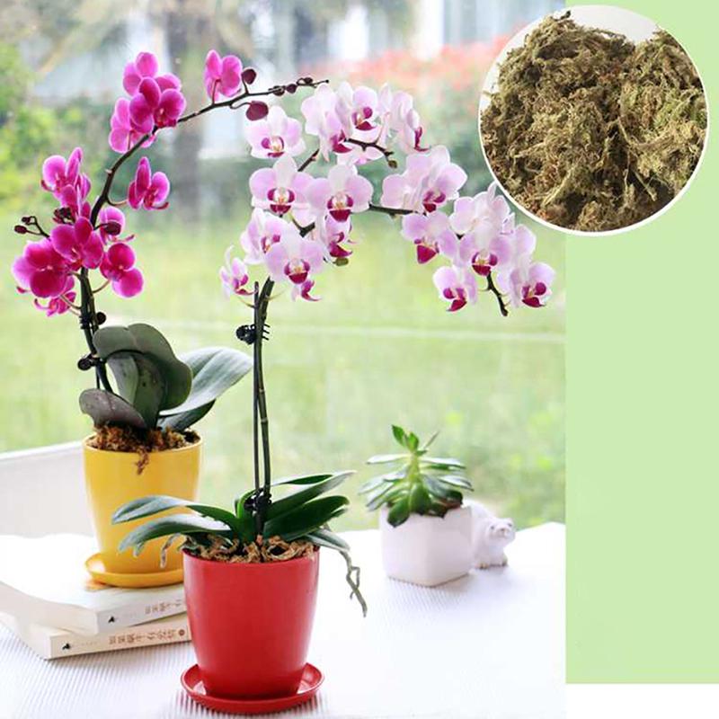 12L / 6L Sphagnum-Moos, feuchtigkeitsspendender organischer Dünger für Orchideen-Phalaenopsis